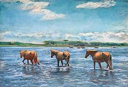 wild ponies wild ponies